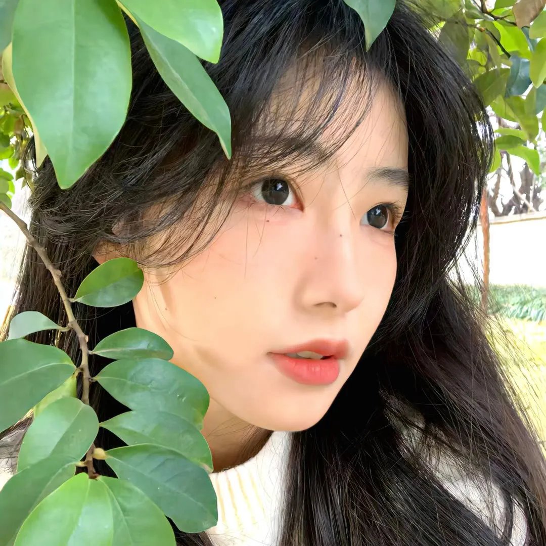 记忆的芬芳